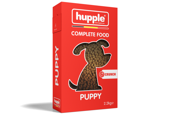 Hupple Crunch puppy